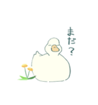 あひるとたんぽぽ（個別スタンプ：8）