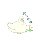 あひるとたんぽぽ（個別スタンプ：12）