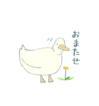 あひるとたんぽぽ（個別スタンプ：15）