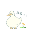 あひるとたんぽぽ（個別スタンプ：18）