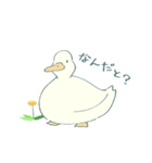 あひるとたんぽぽ（個別スタンプ：30）