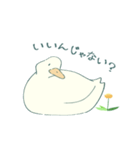 あひるとたんぽぽ（個別スタンプ：31）
