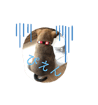 ！新しい家族！（個別スタンプ：3）