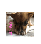 ！新しい家族！（個別スタンプ：6）