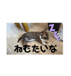 ！新しい家族！（個別スタンプ：8）