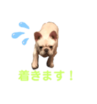 フレブルのどんべぇクン（個別スタンプ：8）