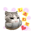 わたしミーコ♡（個別スタンプ：1）