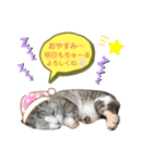 わたしミーコ♡（個別スタンプ：4）