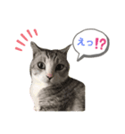 わたしミーコ♡（個別スタンプ：5）