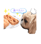 ぶちゃかわ しし丸（個別スタンプ：1）
