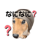 みるくとこころ仲良しスタンプ（個別スタンプ：7）