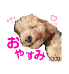 COCOスタンプ♡2（個別スタンプ：4）