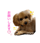 COCOスタンプ♡2（個別スタンプ：7）