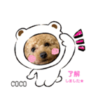 COCOスタンプ♡2（個別スタンプ：8）