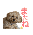 COCOスタンプ♡2（個別スタンプ：21）