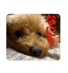 COCOスタンプ♡2（個別スタンプ：22）