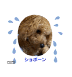 COCOスタンプ♡2（個別スタンプ：23）