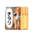 COCOスタンプ♡2（個別スタンプ：26）