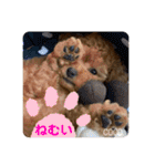 COCOスタンプ♡2（個別スタンプ：30）