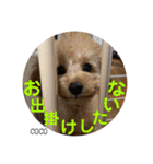 COCOスタンプ♡2（個別スタンプ：32）