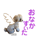 COCOスタンプ♡2（個別スタンプ：34）