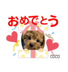 COCOスタンプ♡2（個別スタンプ：35）
