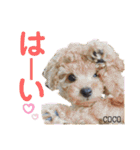 COCOスタンプ♡2（個別スタンプ：37）