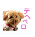 COCOスタンプ♡2（個別スタンプ：40）