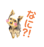 ライト動物病院ver.2（個別スタンプ：6）