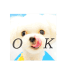 ライト動物病院ver.2（個別スタンプ：21）