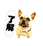 ライト動物病院ver.2（個別スタンプ：23）