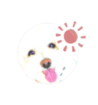 ライト動物病院ver.2（個別スタンプ：31）