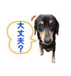 ティガくんの1日（個別スタンプ：5）