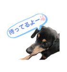 ティガくんの1日（個別スタンプ：6）