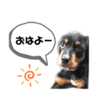 ティガくんの1日（個別スタンプ：7）