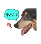 ティガくんの1日（個別スタンプ：11）