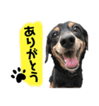 ティガくんの1日（個別スタンプ：12）