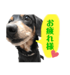 ティガくんの1日（個別スタンプ：13）
