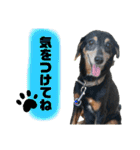 ティガくんの1日（個別スタンプ：14）