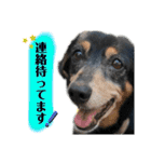 ティガくんの1日（個別スタンプ：15）