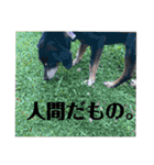 ティガくんの1日（個別スタンプ：21）