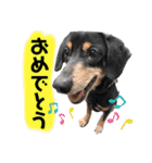 ティガくんの1日（個別スタンプ：23）