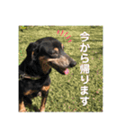 ティガくんの1日（個別スタンプ：24）