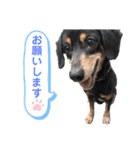 ティガくんの1日（個別スタンプ：26）