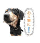 ティガくんの1日（個別スタンプ：27）