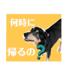ティガくんの1日（個別スタンプ：35）
