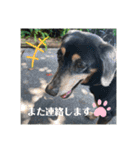 ティガくんの1日（個別スタンプ：36）