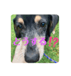 ティガくんの1日（個別スタンプ：37）