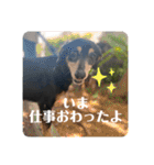 ティガくんの1日（個別スタンプ：39）
