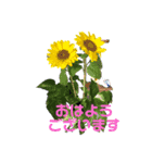 luck sen kid（個別スタンプ：1）